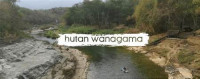 Image of Wanagama Hutan Penuh Pesona